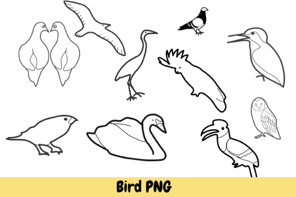 Hand Drawn Bird PNGs: Dove, Pigeon, Owl & Swan Art