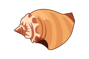 Sea Animal Illustrations: A Deep Dive into Versatile Vector Art
