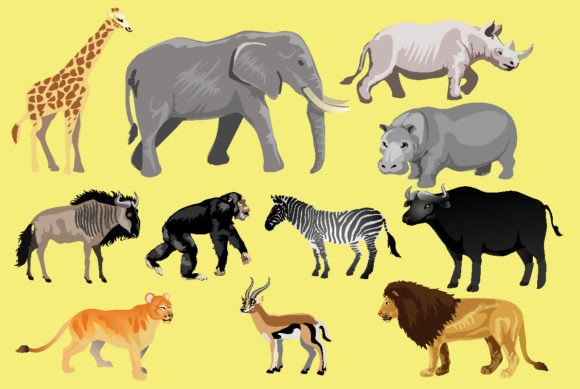 The Visual Pulse of Africa: Exploring African Wild Life Animal Vector